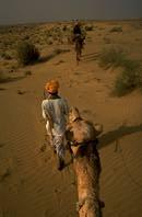 Trekking with Camel